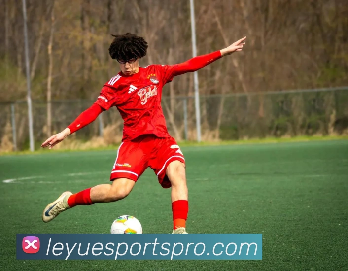 乐鱼APP 体育赛事宣传图